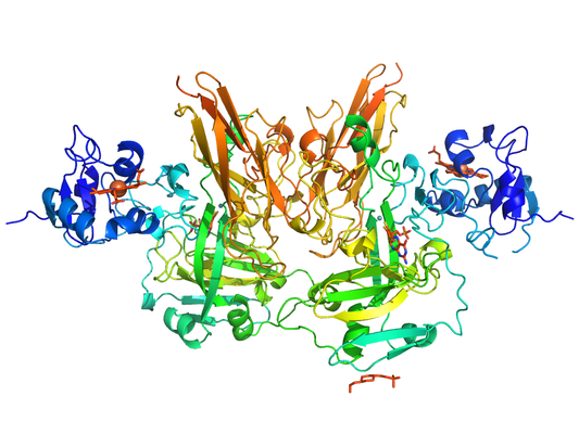 Biologie: Chemische Stoffen